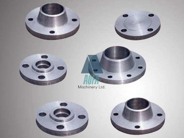 OEM Large-Diameter ANSI A105/Rst37.2/C22.8/Q235 Stainless Steel RF FF Wn Welding Neck Flange